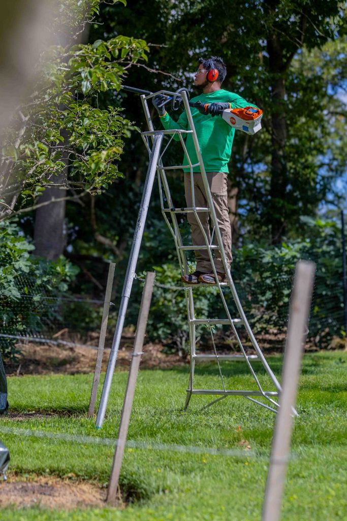 Seasonal Landscape Maintenance & Enhancements Landscape Maintenance Services