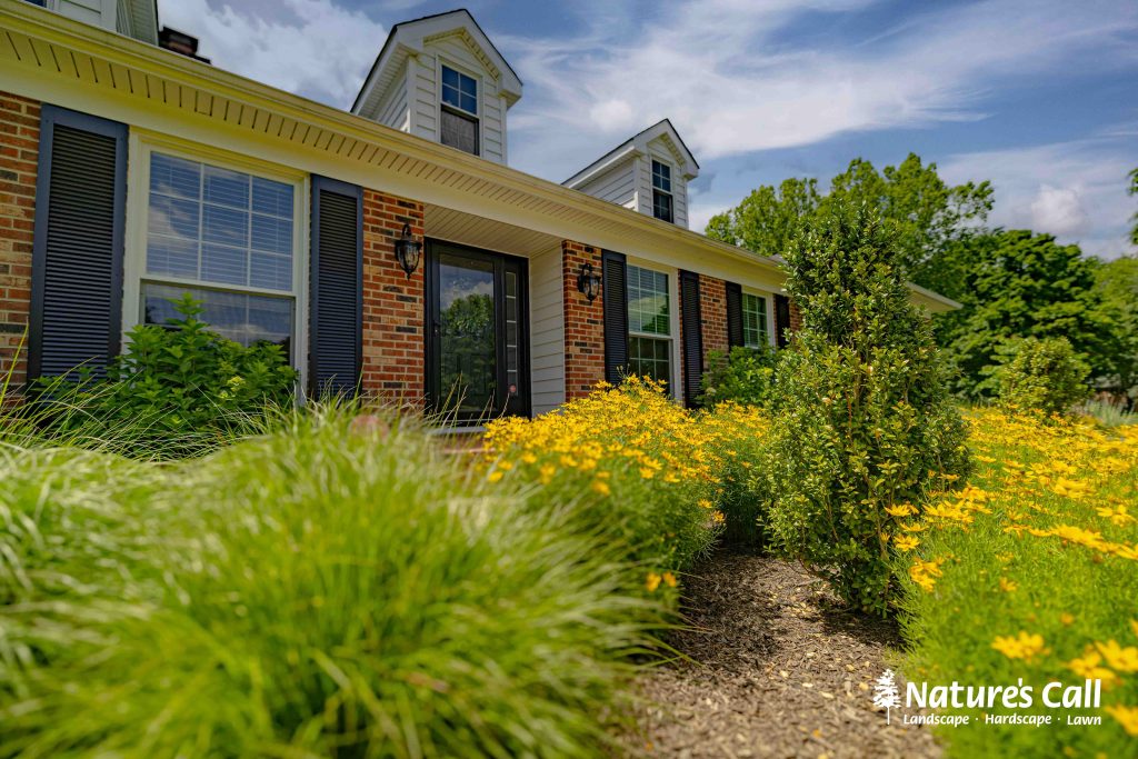 Our Wilmington Landscaping Services Include: Our Wilmington Landscaping Services Include: