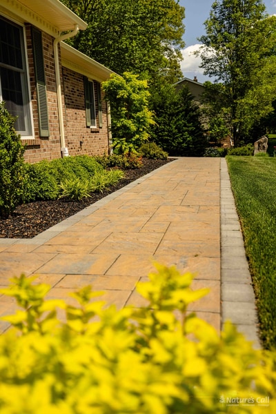Looking along the side of the Garnet Valley home with the paver walkway leading away from the camera, a yellow-foliage shrub vivid in the soft-focus foreground