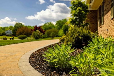Close-up of the curved paver walkway edge in Garnet Valley, with charcoal border bricks separating the tan stones from a mulched bed of green daylilies