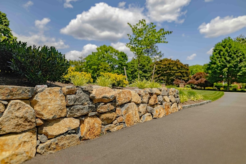 Greenville Delaware property with natural stone retaining wall, layered plantings, and curved driveway under a healthy maintained landscape, Nature's Call Landscaping
