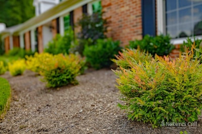 Close-up of planted bed along Greenville Delaware home