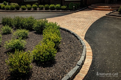 Detail of the Hockessin entry walkway: a curved brick paver path runs alongside a mulched bed of mounded boxwoods, edged by a rough fieldstone cobble curb, with a brick step landing visible at the top of the frame