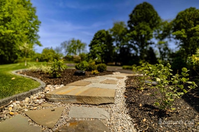 Low-angle ground view of the Hockessin side path: irregular flagstone steppers set into a pebble drainage strip lead toward a mulched curve of mounded boxwoods, with the lawn and dogwoods blurred in the background