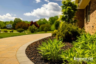 Curved paver walkway with foundation plantings and ornamental grasses borders a brick home in Garnet Valley, Pennsylvania.