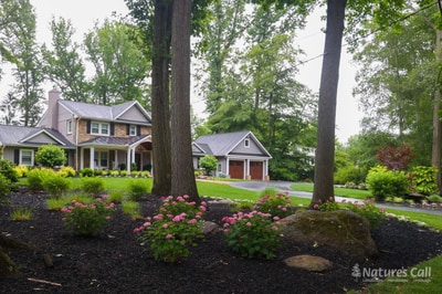 Wide street-level view of the North Wilmington property from across the lawn: pink mophead hydrangeas and a fieldstone foundation in the foreground, the home set among mature trees beyond, and the wing of the home with twin garage doors at right