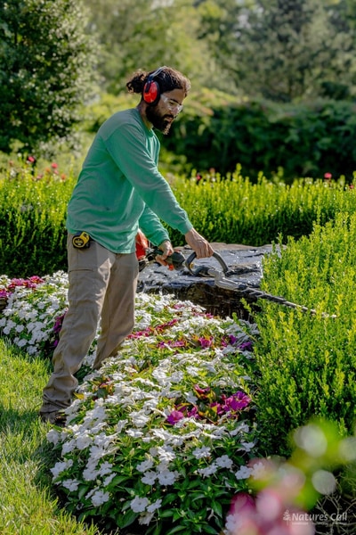A Nature's Call landscaper shearing a boxwood hedge that borders a bed of white and pink impatiens, beside a natural-stone water feature. Nature's Call Landscaping seasonal plant care.